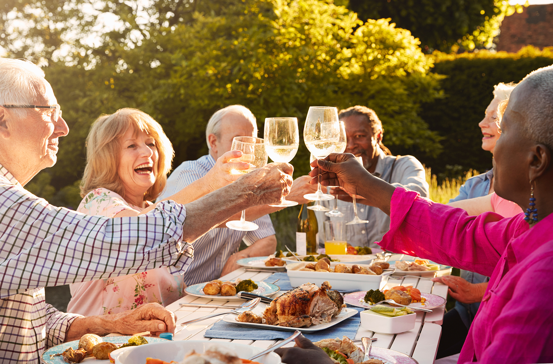 seniors enjoying a picnic socializing